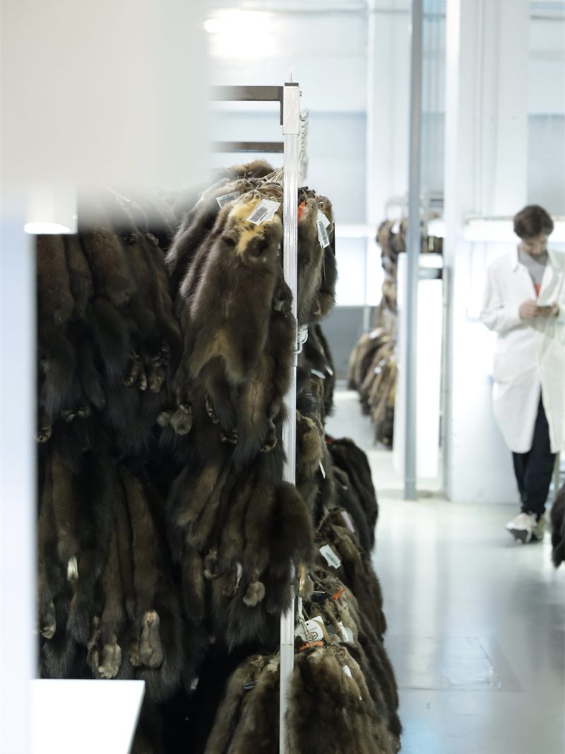 showlot-2.jpg